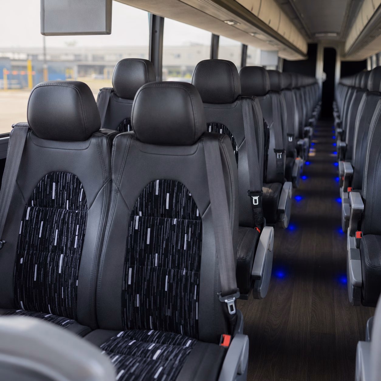charter buses for wildlife world zoo field trips from buckeye schools